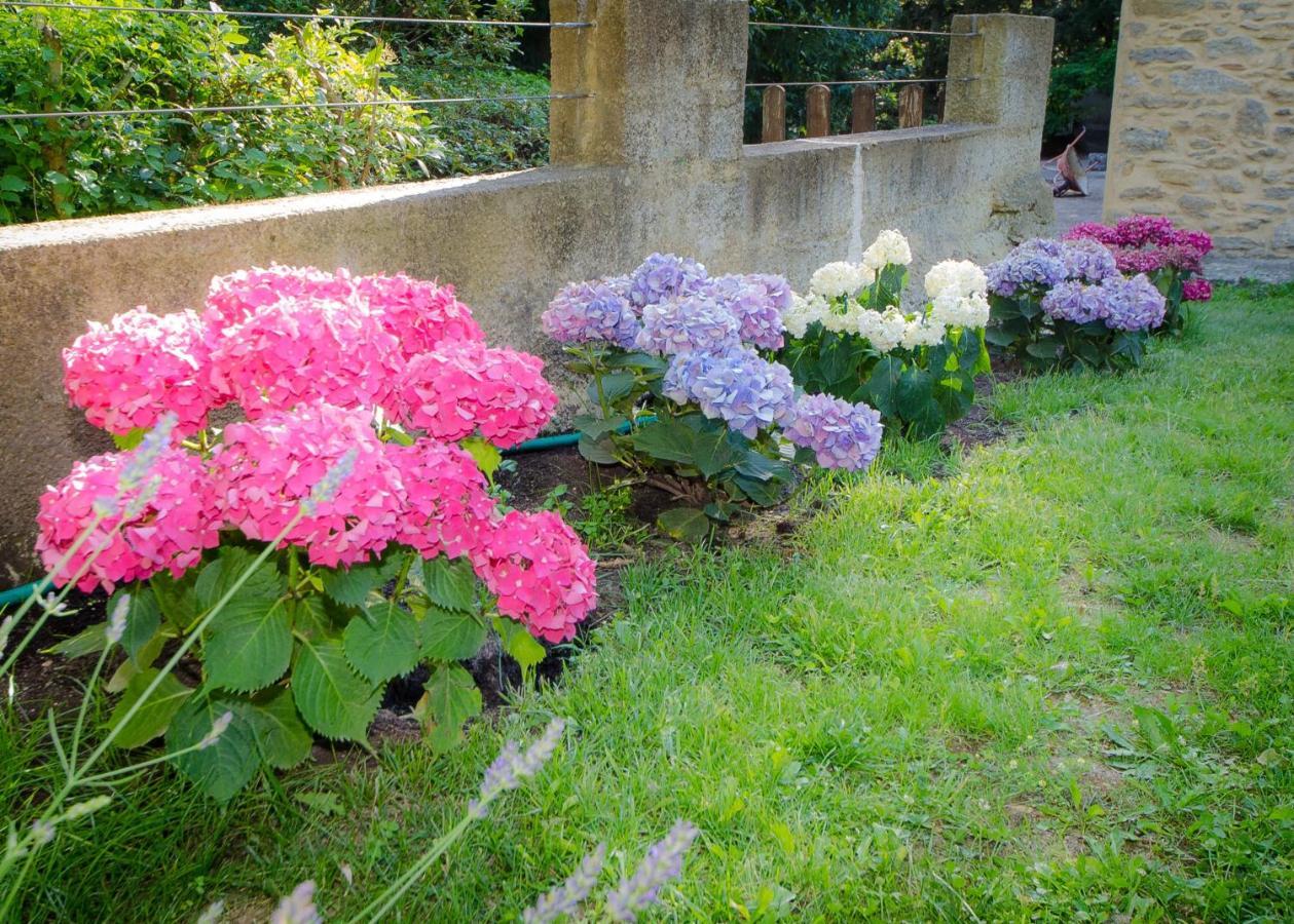 Bed and Breakfast La Jourdane Saint-Alexandre Camera foto